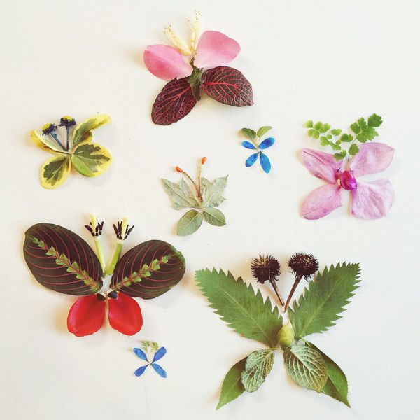 Аппликация "Бабочки" из листьев