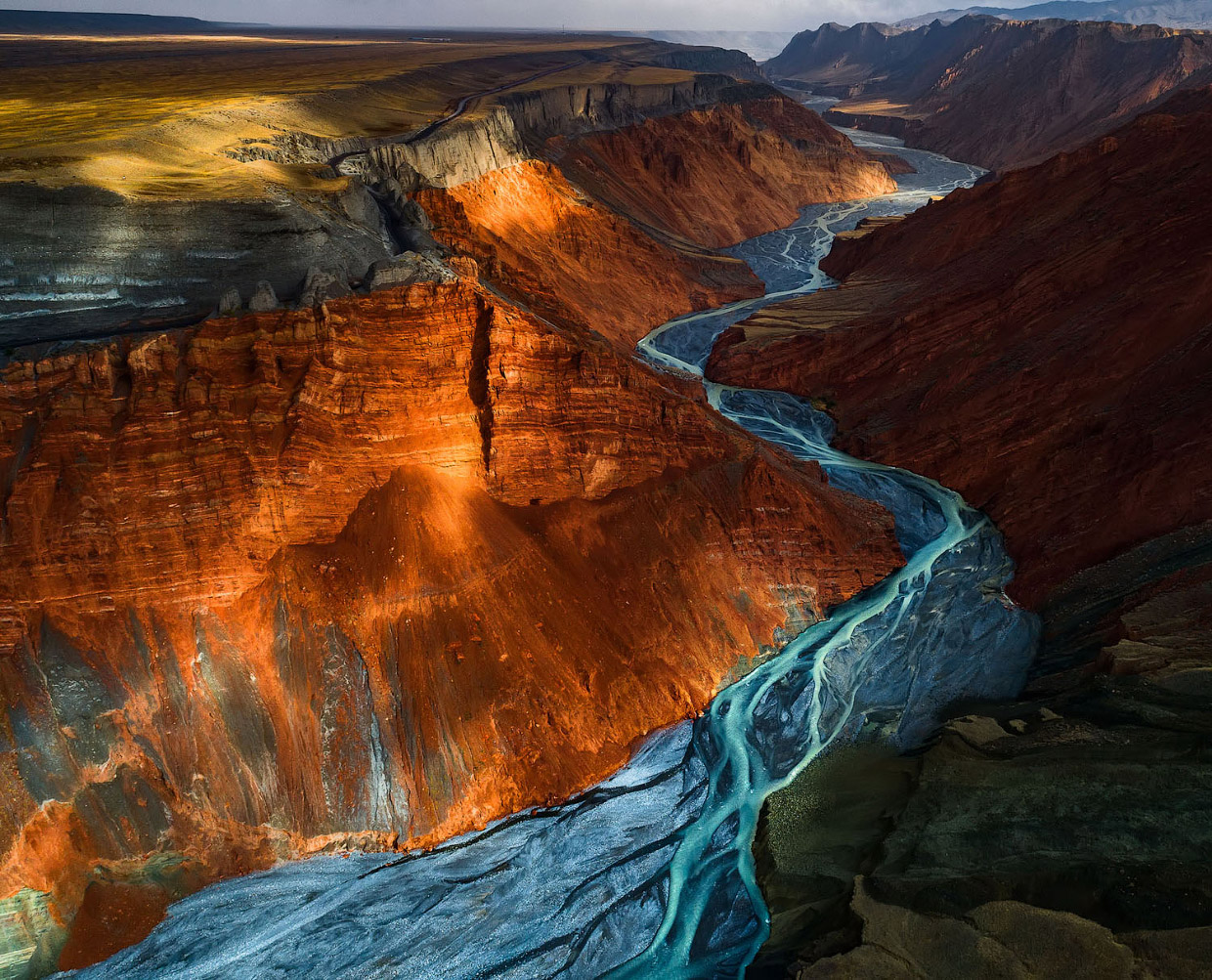 Фотографии победителей National Geographic Nature Photographer 2017