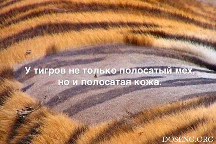 Любопытные и интересные факты обо всем на свете Любопытные и интересные факты обо всем на свете
