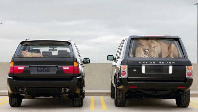 Давайте улыбаться вместе! :) (16 поводов)