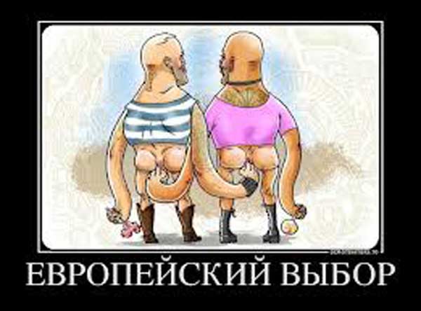 Иностранцы о толерастии:тупая безмозглая покорность приводит к шизофрении общества