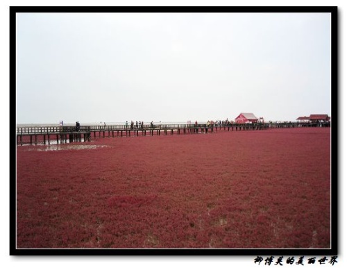 Красная песчаная отмель в Китае (9 фото) Красная песчаная отмель в Китае (9 фото)