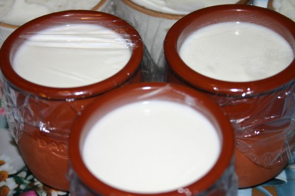 Приготовление йогурта в домашних условиях без йогуртницы с закваской Приготовление йогурта в домашних условиях без йогуртницы