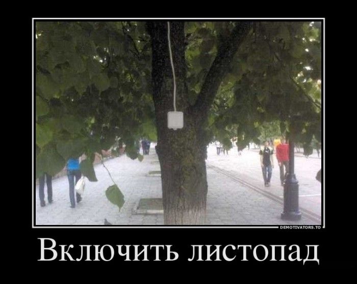 Включить листопад Свежая подборка демотиваторов, которые поднимут вам настроение