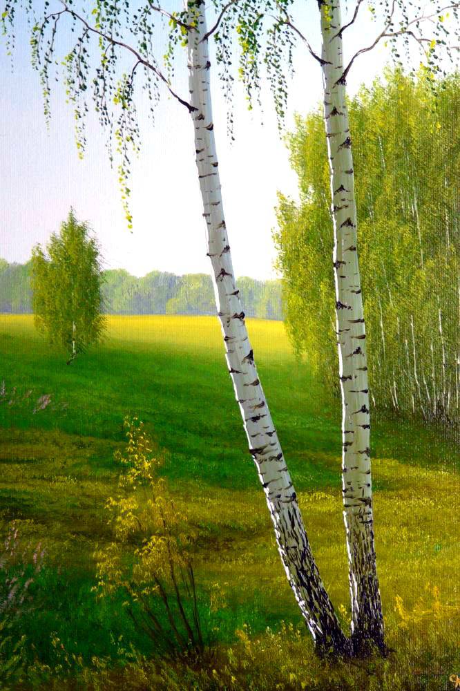 Русские пейзажи художника Сергея Алексеева