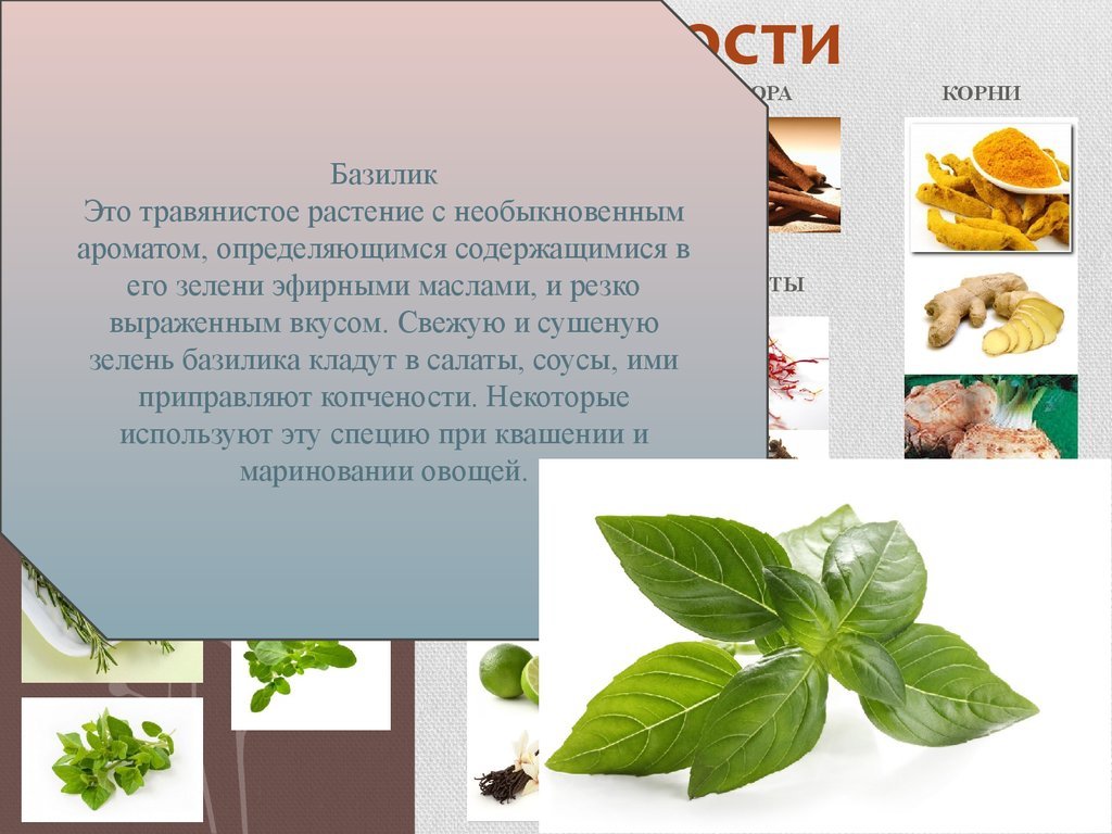 Секреты специй - что к чему подходит.