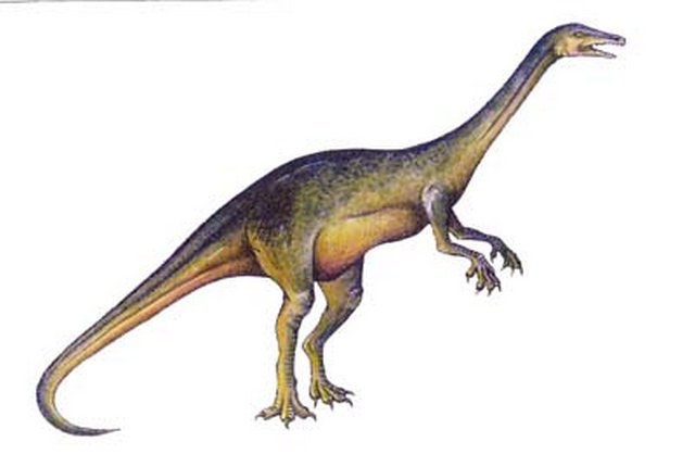 dinozavr8.jpg