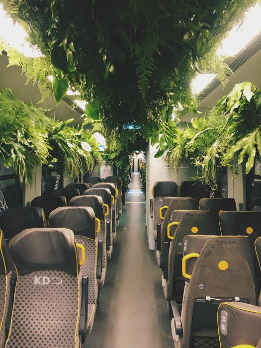 Джунгли в поезде. | Фото: Reddit.