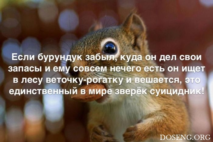 Любопытные и интересные факты обо всем на свете Любопытные и интересные факты обо всем на свете