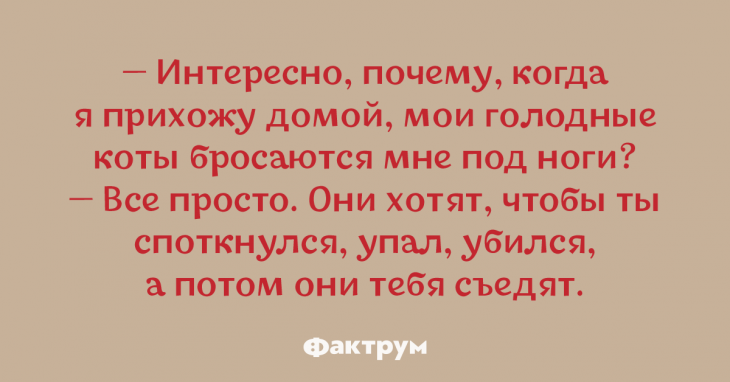 Просто сногсшибательные анекдоты, заряжающие отличным настроением на весь день Просто сногсшибательные анекдоты, заряжающие отличным настроением на весь день