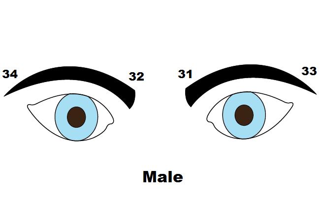 Что по бровям можно узнать о человеке