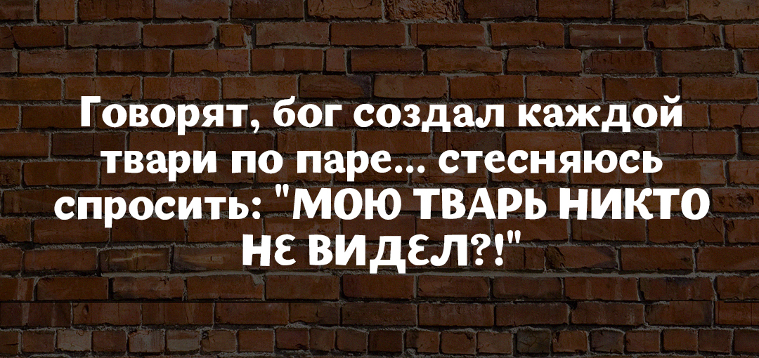 18 высказываний от мудрых женщин с юмором 18 высказываний от мудрых женщин с юмором