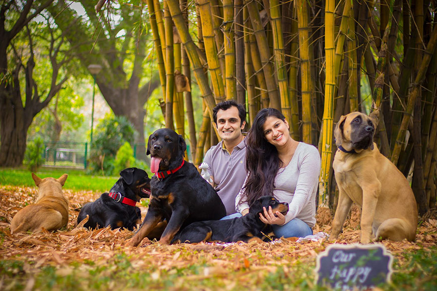 pregnant-couple-dogs-photoshoot-3