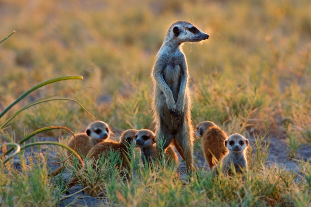 фото National Geographic