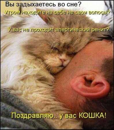 Смешные картинки о животных с подписями.