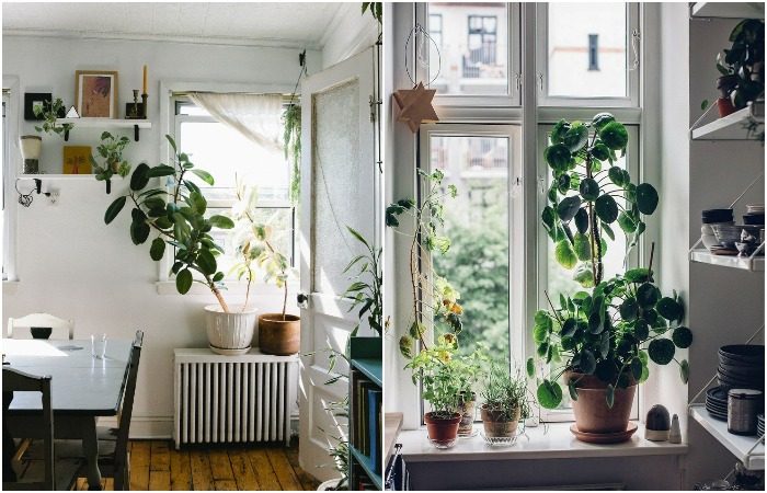 Как сделать маленькую квартиру уютнее, несмотря на скромный ремонт