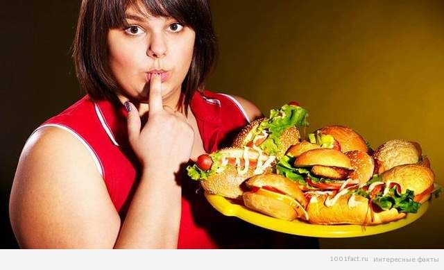 любители поесть