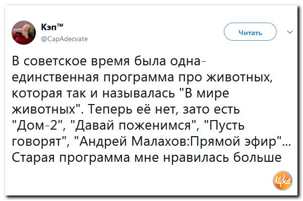 Соц.сети жгут напалмом! Злобные(сарказм) комментарии о последних событиях в мире Соц.сети жгут напалмом! Злобные(сарказм) комментарии о последних событиях в мире