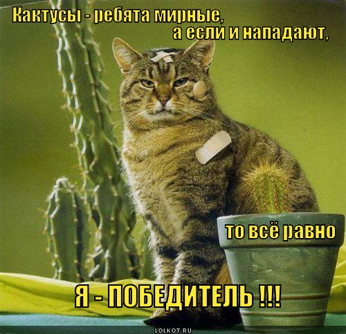 Бравый вояка.