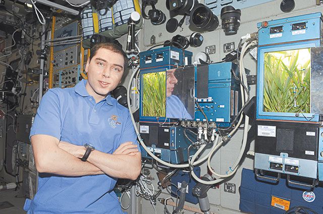Космическая грядка... или что выращивают на орбите?