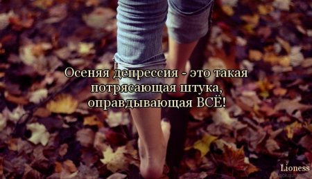 Цитаты, милые цитаты...
