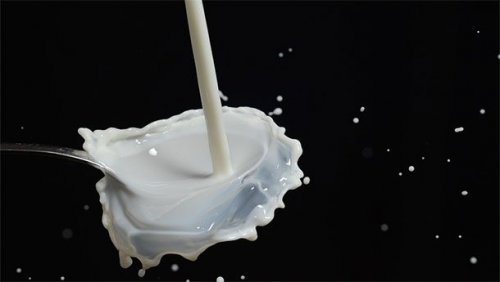 ТОП-25: Удивительные факты про близнецов, которые вы могли не знать ТОП-25: Удивительные факты про близнецов, которые вы могли не знать