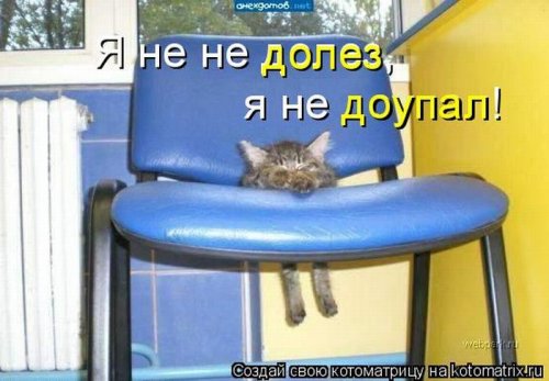 Лучшие котоматрицы недели