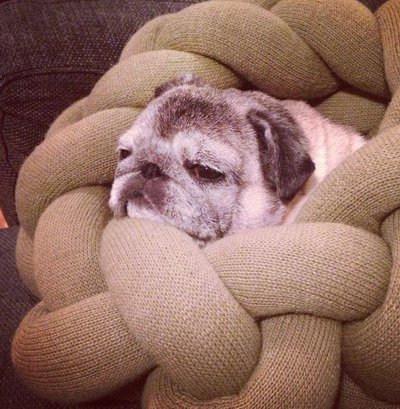 ������� �������