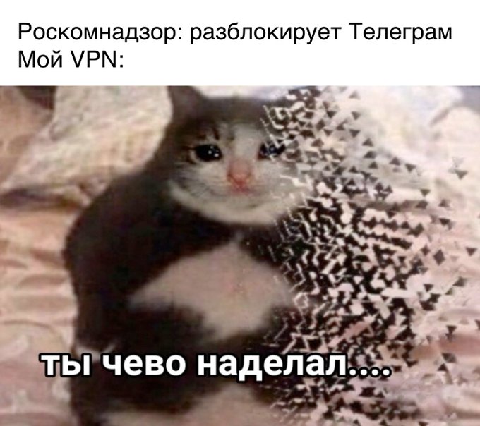 12 мемов про разблокировку Telegram