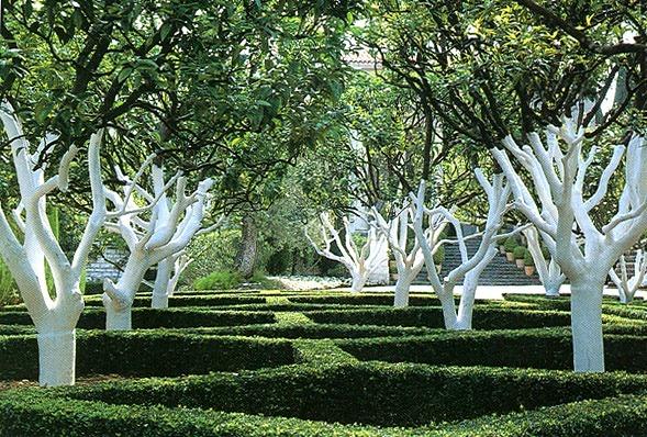 ���� � ����� derevoved.com