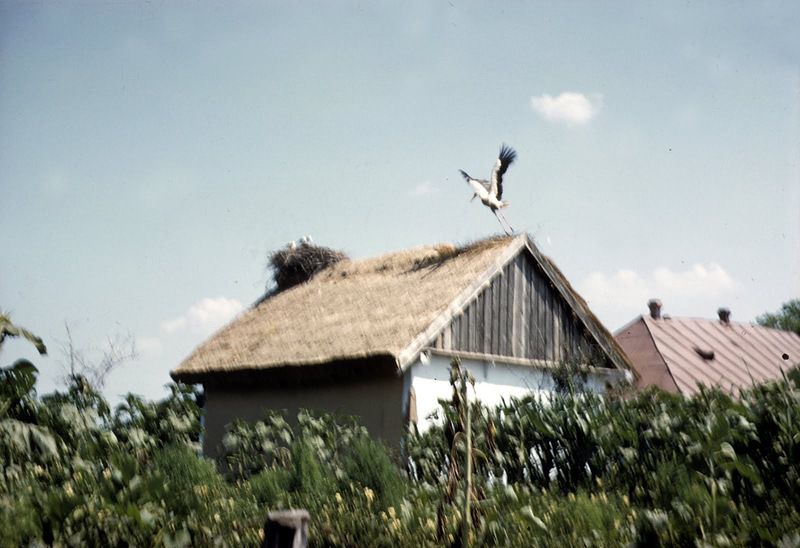 Джон Шульц, СССР, фотографии