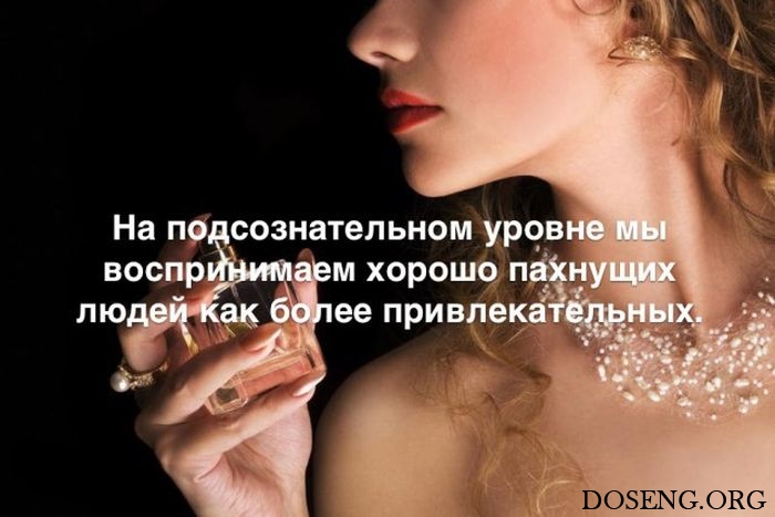 Любопытные и интересные факты обо всем на свете Любопытные и интересные факты обо всем на свете
