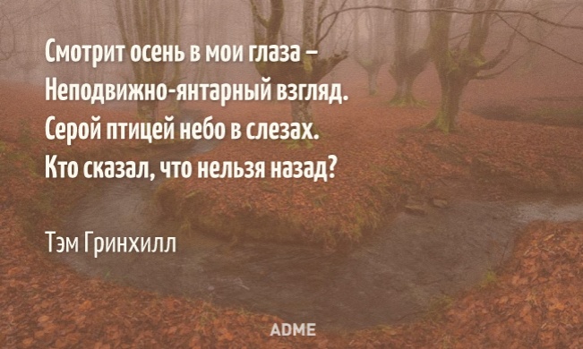 Смотрит осень в мои глаза...
