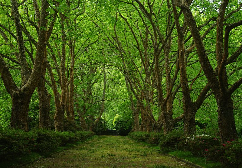 Азорские острова - места нетронутой природы