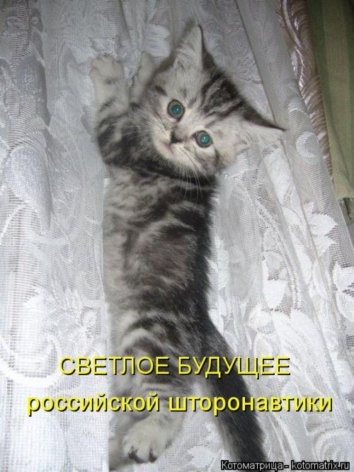 Самые уморительные котоматрицы) Самые уморительные котоматрицы)
