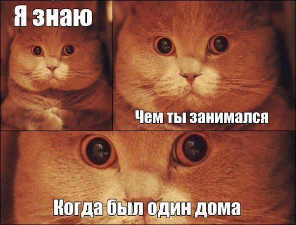 Языковых интересностей пост язык, слова, интересно