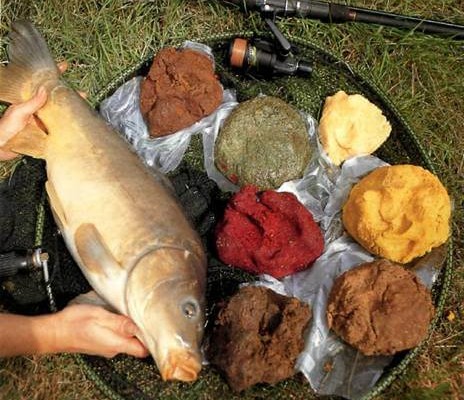 Прикормка для рыбы на научной основе