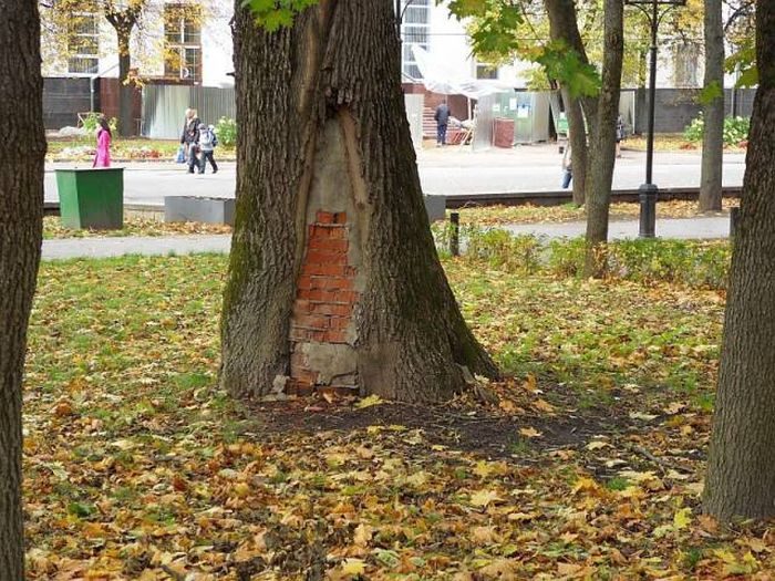 Фото, которые возможно было сделать только в России