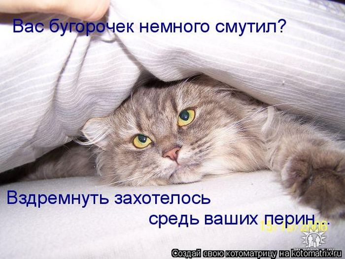 Котоматрицы :)