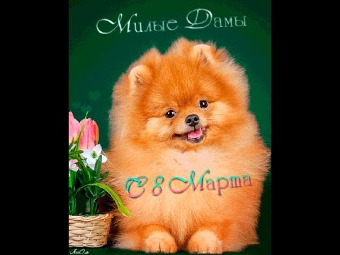 Поздравление с 8 Марта