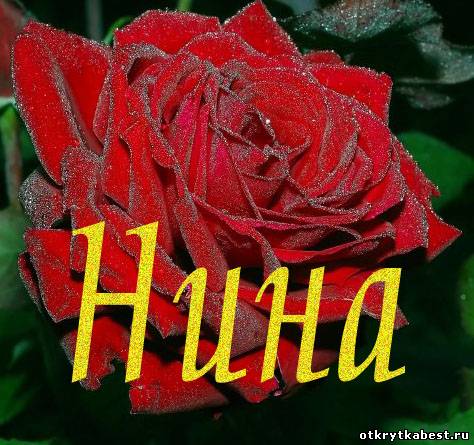 Поздравление на имя нина с днем рождения Поздравление на имя нина с днем рождения