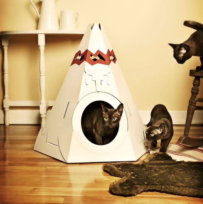 Kitty Teepee