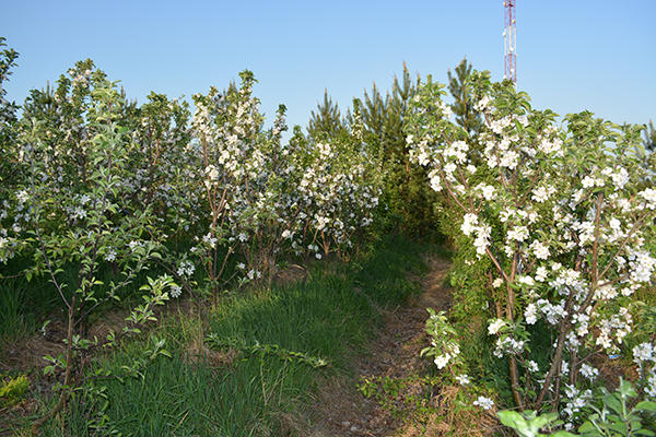колонн 2 колонн 2