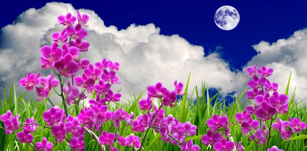 ��������� ������� ����� �� ������ 2017 ����