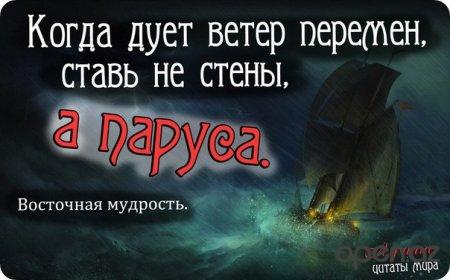 "  " (46   )