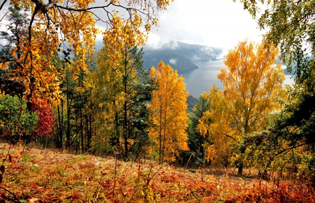 Россия, Телецкое озеро, республика Алтай.