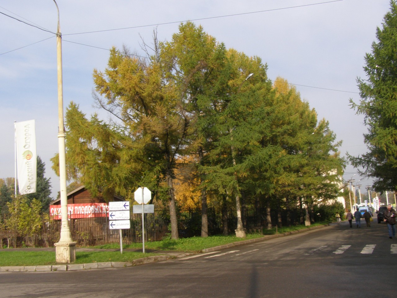Прогулки по Москве. Осень на ВДНХ. Прогулки по Москве. Осень на ВДНХ 2014.