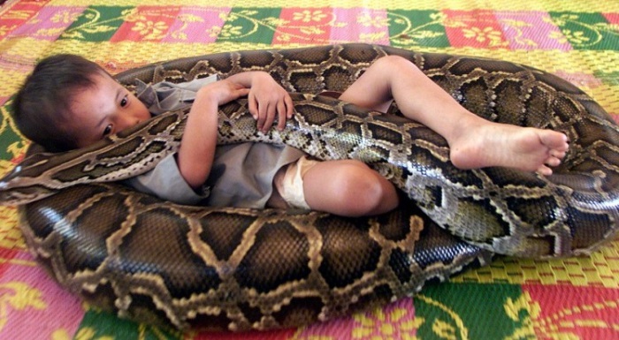 5-метровый питон - лучший друг для мальчика. | Фото: momentsjournal.com. 5-метровый питон - лучший друг для мальчика. | Фото: momentsjournal.com.