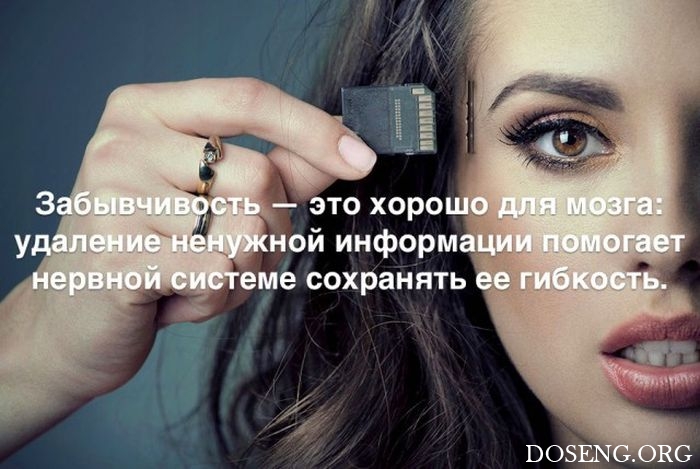 Любопытные и интересные факты обо всем на свете Любопытные и интересные факты обо всем на свете