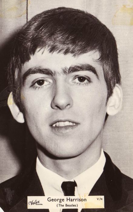 Джордж Харрисон beatles, сын, музыкант